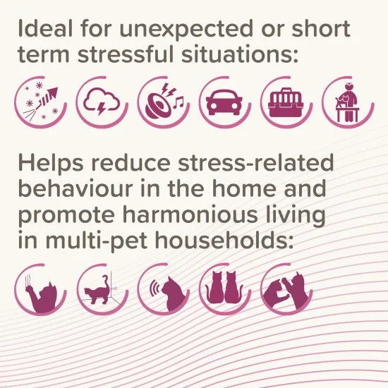 Beaphar CatComfort Calming Spot On - успокояващи капки с феромони за котки 9