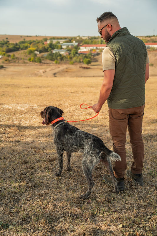 Комплект нашийник и повод – Orange 2