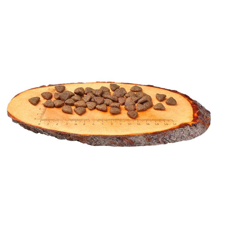 Пълноценна, суха храна за кучета Carnilove Salmon for Adult със 25% сьомга, БЕЗ ЗЪРНЕНИ КУЛТУРИ 12 кг. 2