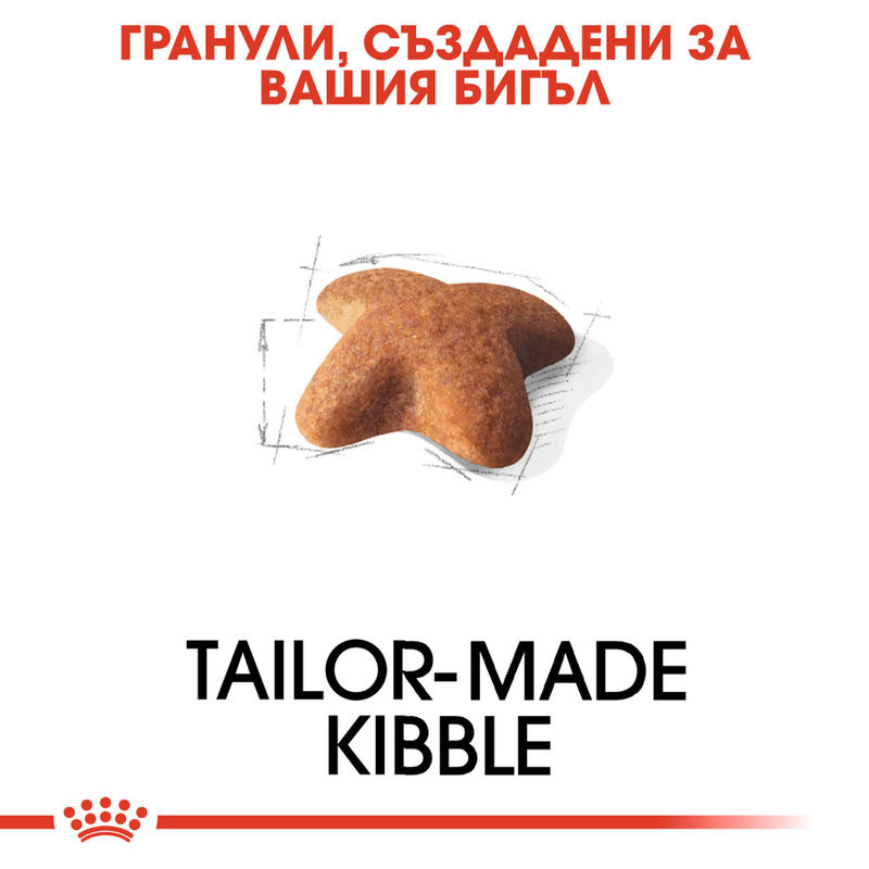 ROYAL CANIN® Beagle Adult - Храна за възрастни кучета порода Бийгъл 2