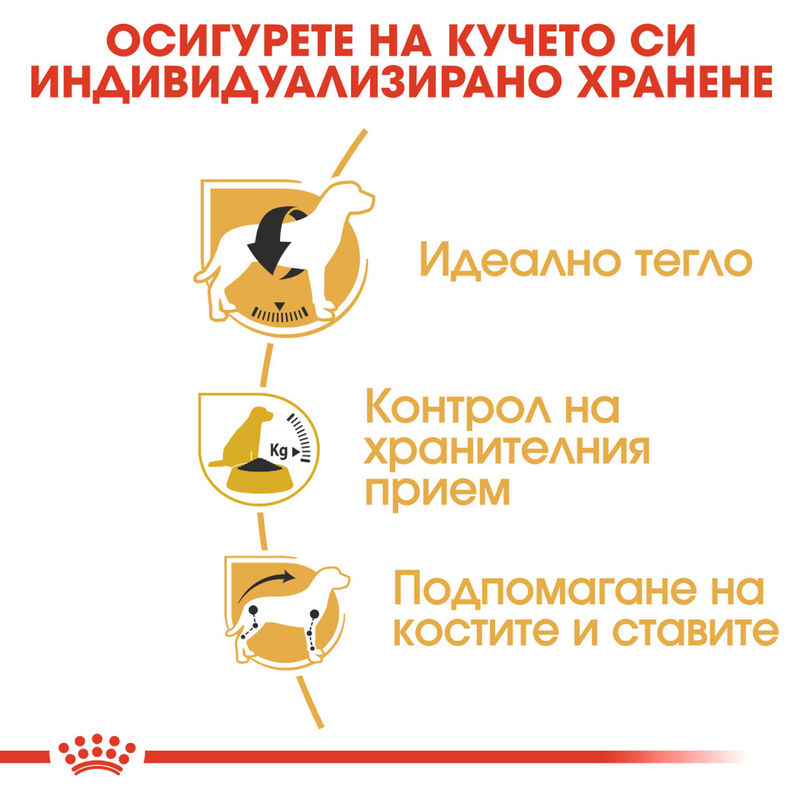 ROYAL CANIN® Beagle Adult - Храна за възрастни кучета порода Бийгъл 6