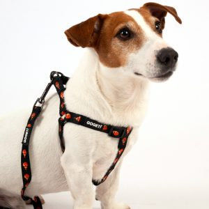 Нагръдник тип А подплатен с неопрен PET INTEREST NEOPRENE VIOLETTA 8