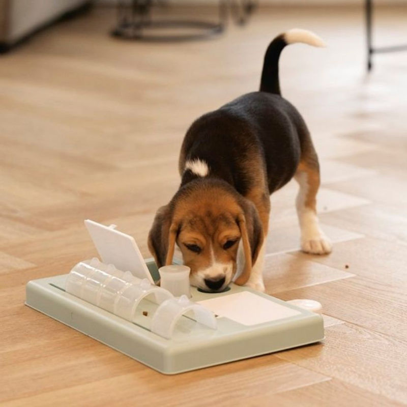 Интерактивна играчка за кучета Beeztees Braingame Riff Зелен 4