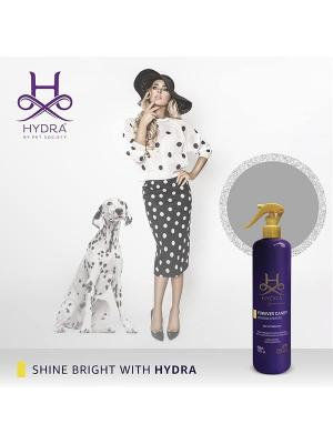 HYDRA GROOMERS ПАРФЮМ FOREVER CANDY 450 МЛ 2