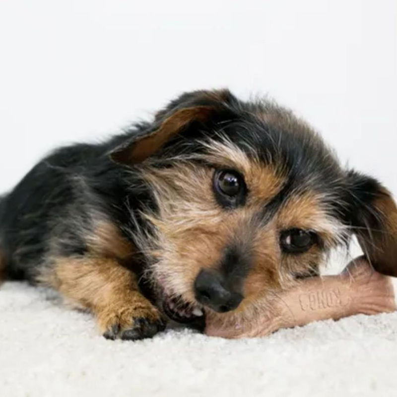 Играчка за дъвчене KONG Chewstix bone кокал за кучета микс 2