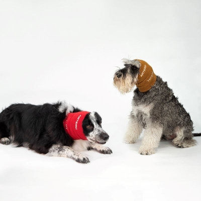 ARTERO FOCUS - КОМПЛЕКТ АНТИФОНИ (S, M, L) 3