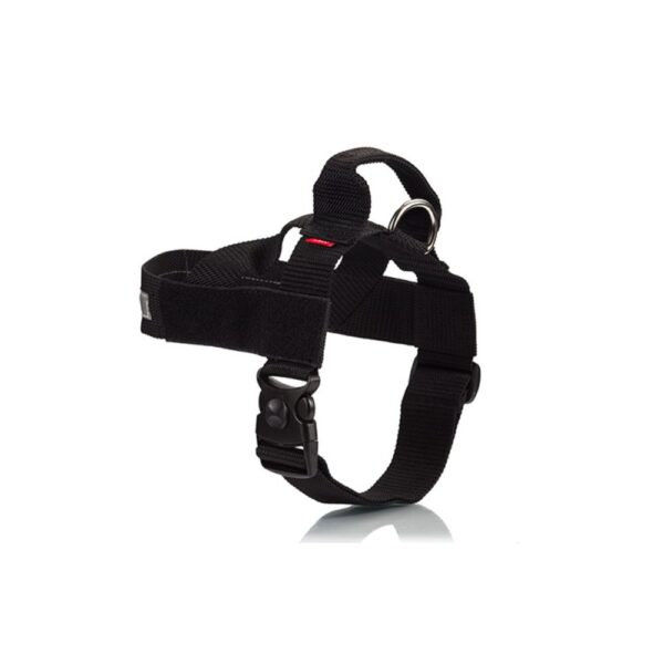 Стандартен нагръдник PET INTEREST Go Get 8