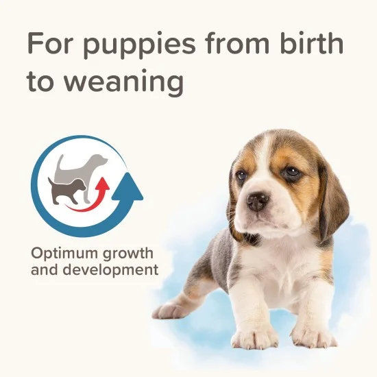 Beaphar Lactol - сухо мляко за кученца, 250 г