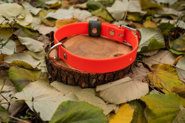 Оранжев нашийник – Премиум 5