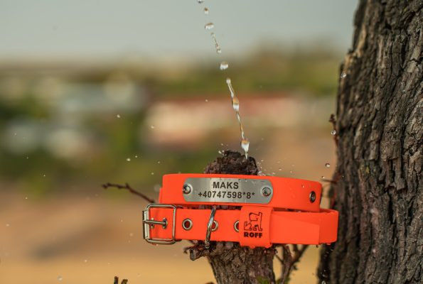 Оранжев нашийник – Премиум 3