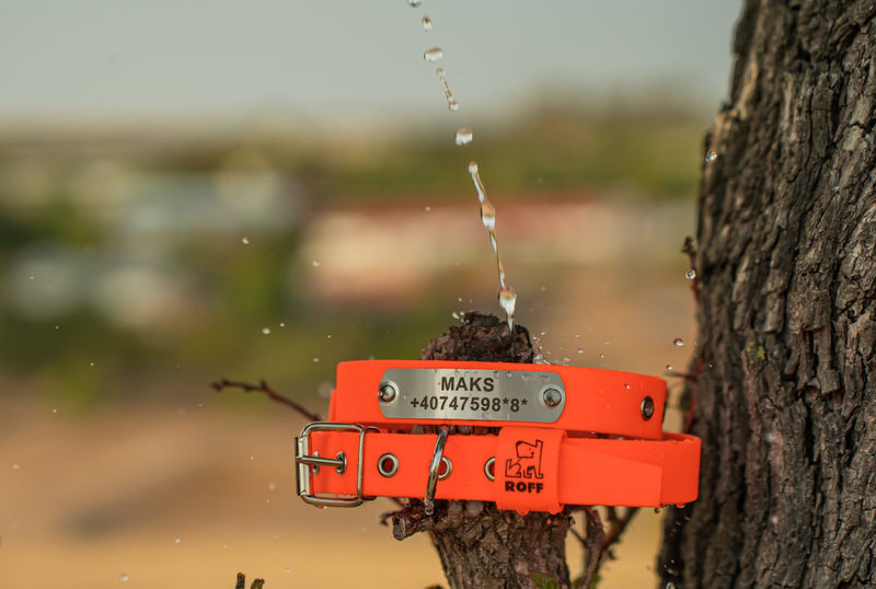 Оранжев нашийник – Премиум 4