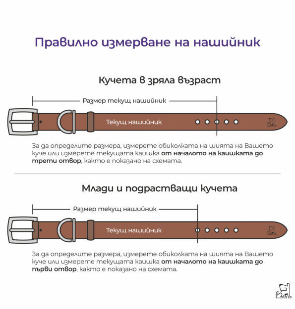 Оранжев нашийник – Премиум