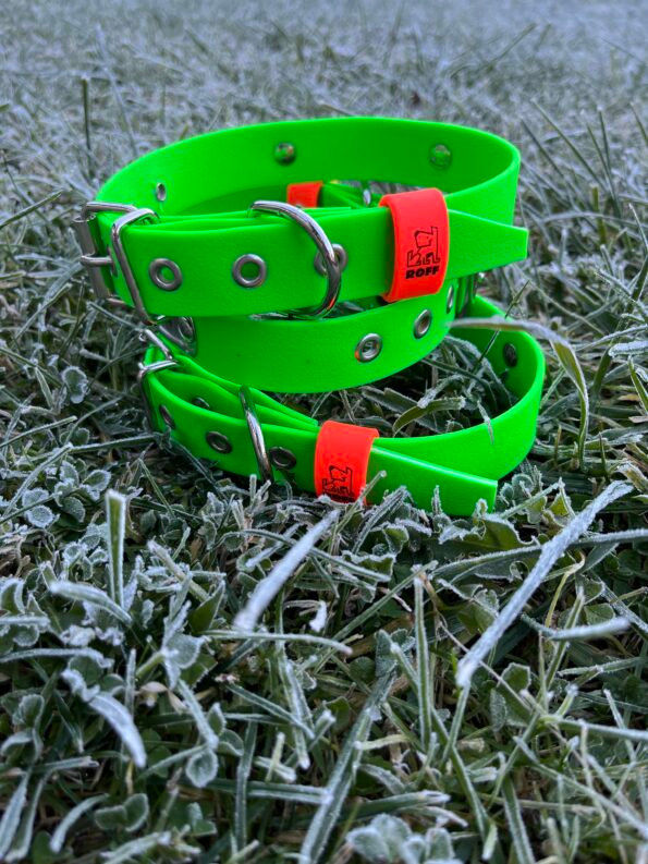 Неоново зелена каишка с име и телефонен номер 3