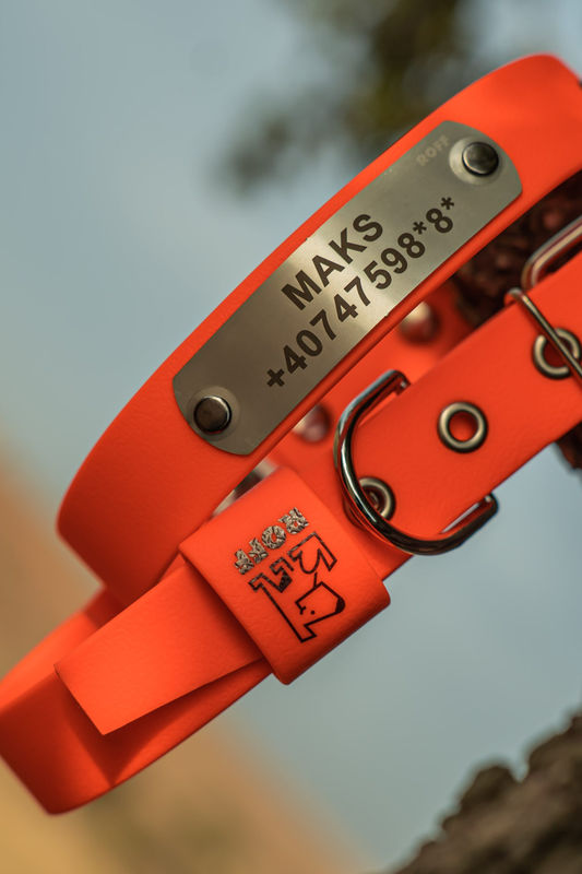 Комплект нашийник, повод и шапка – Orange 4