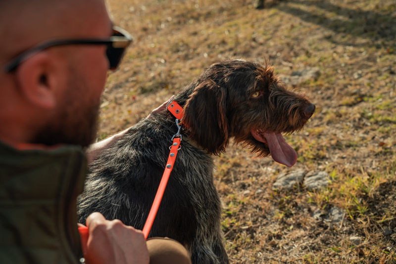 Комплект нашийник, повод и шапка – Orange 6