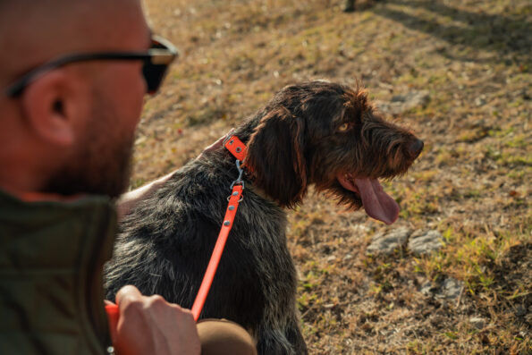 Комплект нашийник, повод и шапка – Orange 5