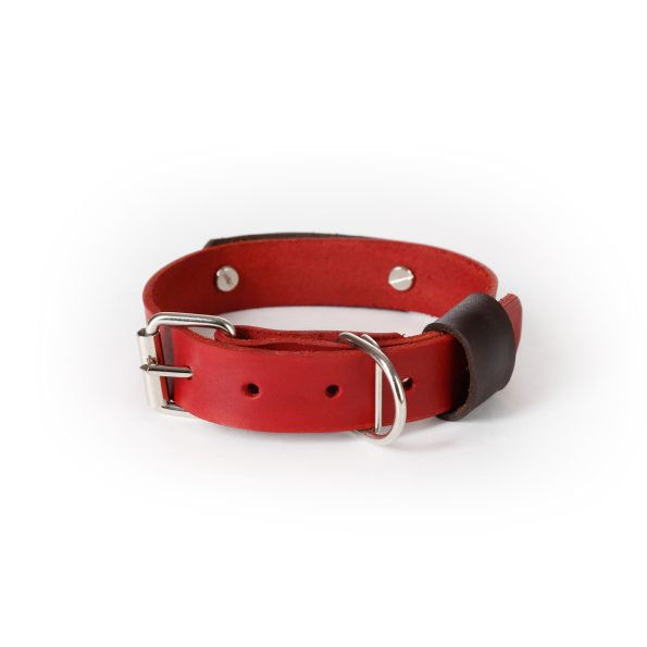 Двуцветен нашийник с персонализация 7