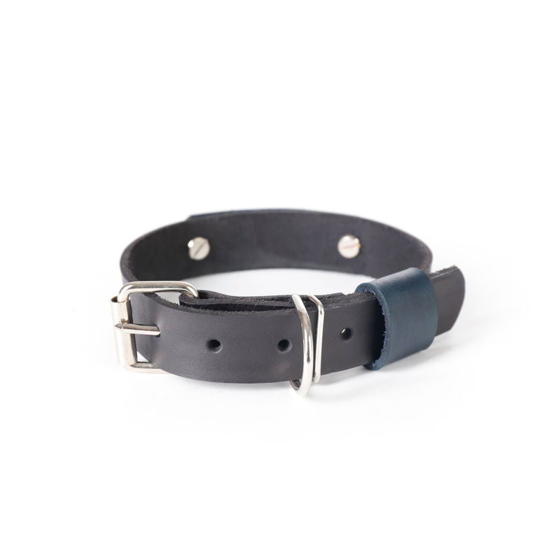 Двуцветен нашийник с персонализация 6