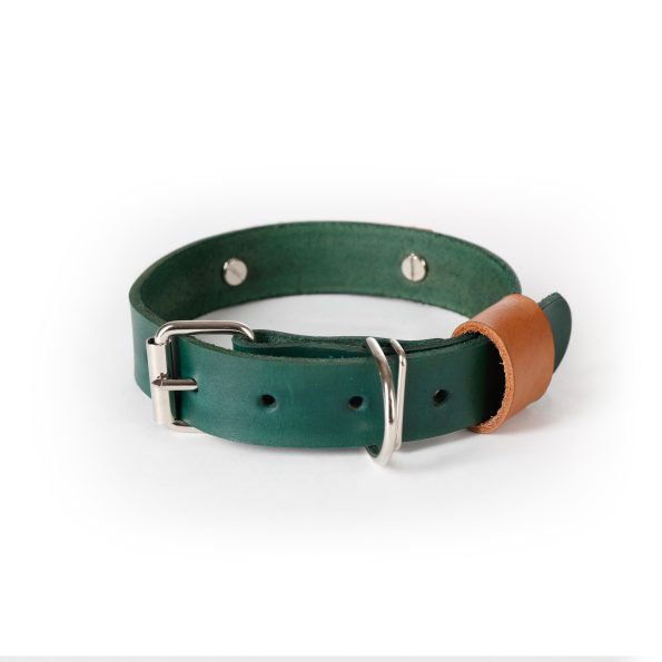 Двуцветен нашийник с персонализация 11