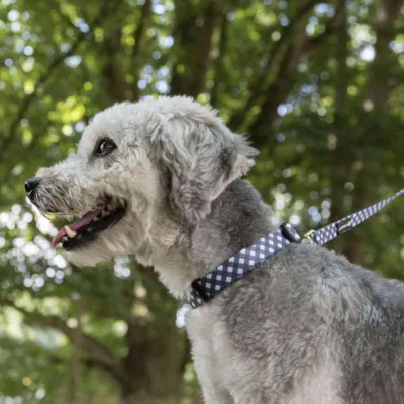 Повод за куче Flamingo Leash Salome сив 20мм L 2