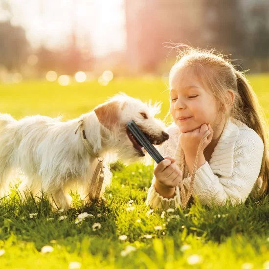 Beaphar Dental Sticks Small - 7 бр., 112гр, дентални пръчки за свеж дъх и чисти зъби 3