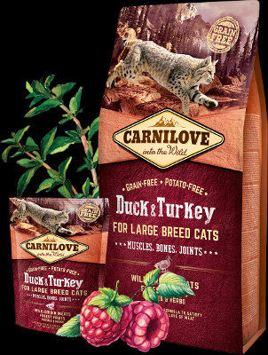 Пълноценна суха храна за котки от големите породи Carnilove Duck & Turkey – Large breed Cats със 32% патешко и 18% пуешко, БЕЗ ЗЪРНЕНИ КУЛТУРИ
