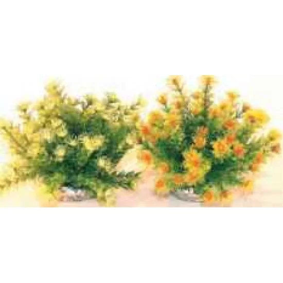 Растение Marina Bowl 21см от Sydeco, Франция