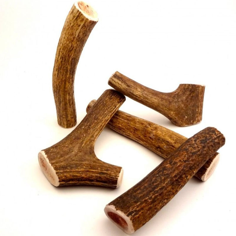 Натурален рог от Елен – деликатес от природата, размер S S