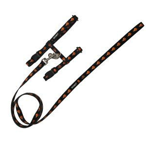 Котешки нагръдник с повод PET INTEREST Cat Harness & Leash Fish Flock 20