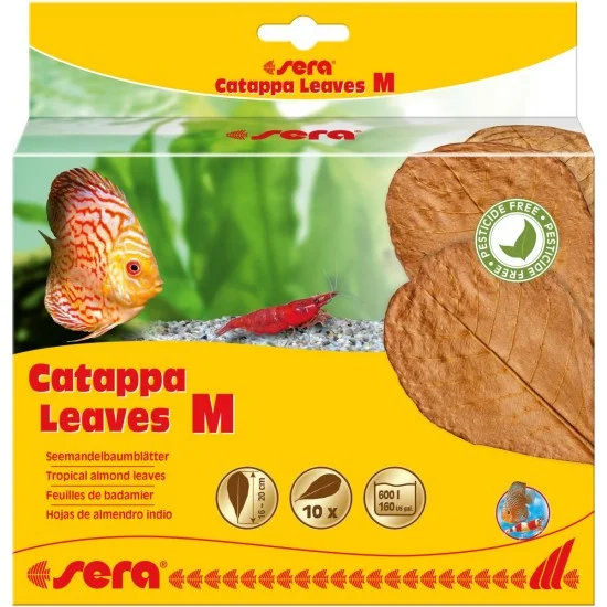 sera Catappa Leaves M 16-20см, 10 броя