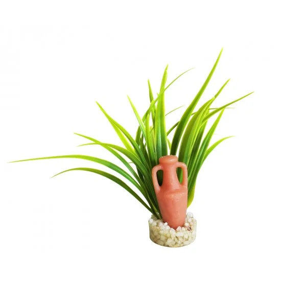 Изк.растение Amphora Pm 9см - 349000