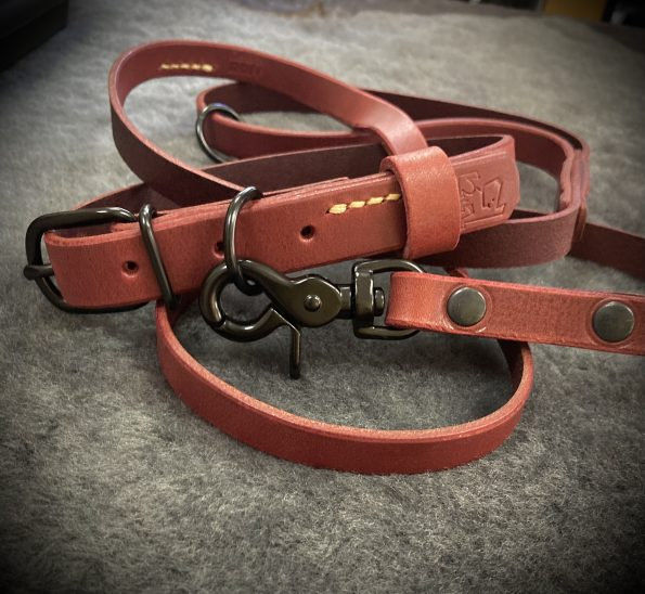 Нашийник „Venera” 3