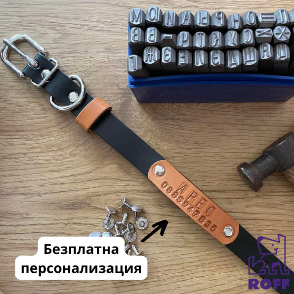 Нашийник „Venera” 6