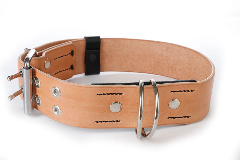 Нашийник за огромни кучета 6