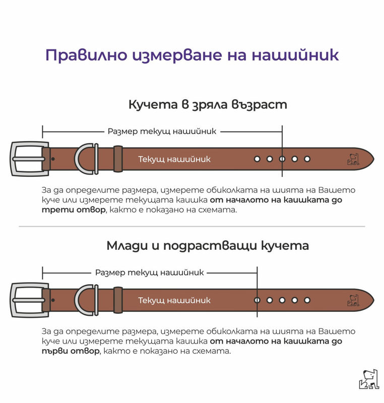 Нашийник за огромни кучета 12