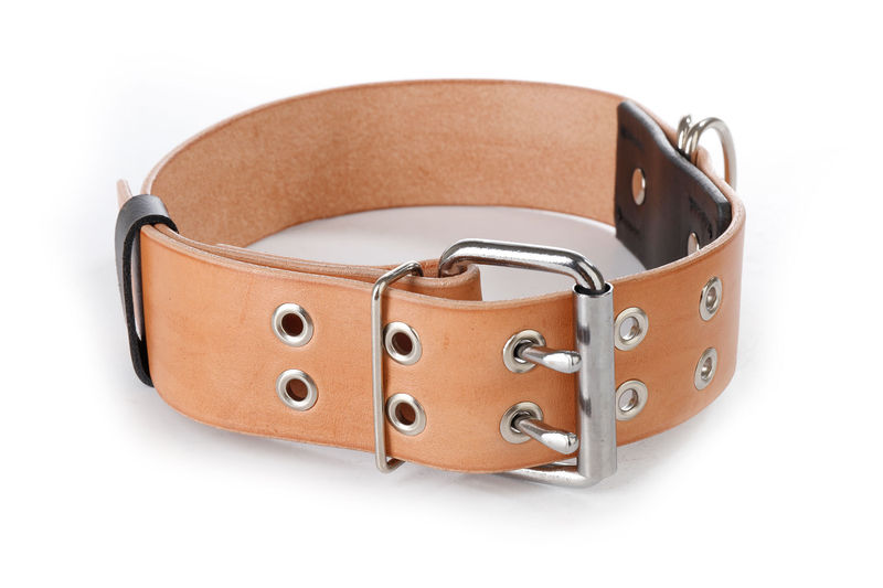 Нашийник за огромни кучета 2