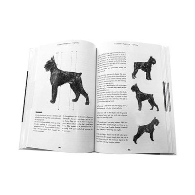 АРТЕРО ГРУМИНГ ЕНЦИКЛОПЕДИЯ - АНГЛИЙСКИ ЕЗИК 2