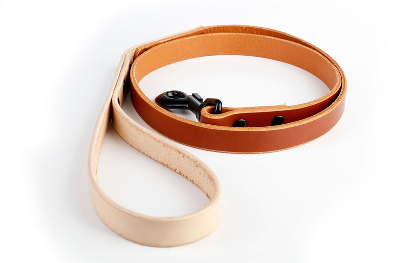 Двуцветен кожен повод 6