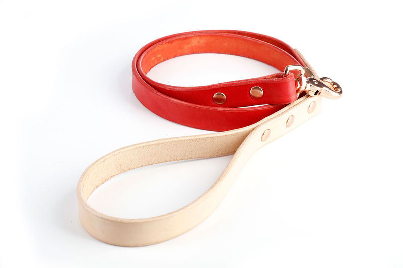 Двуцветен кожен повод 4