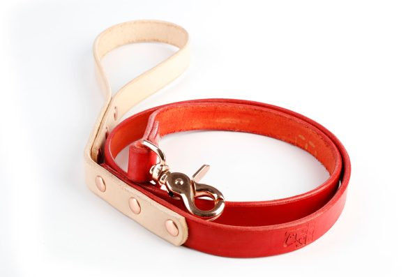 Двуцветен кожен повод