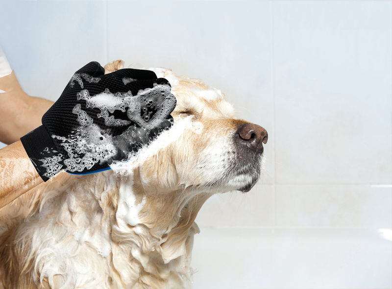 Гумена ръкавица за разресване на кучета и котки Record  син 2