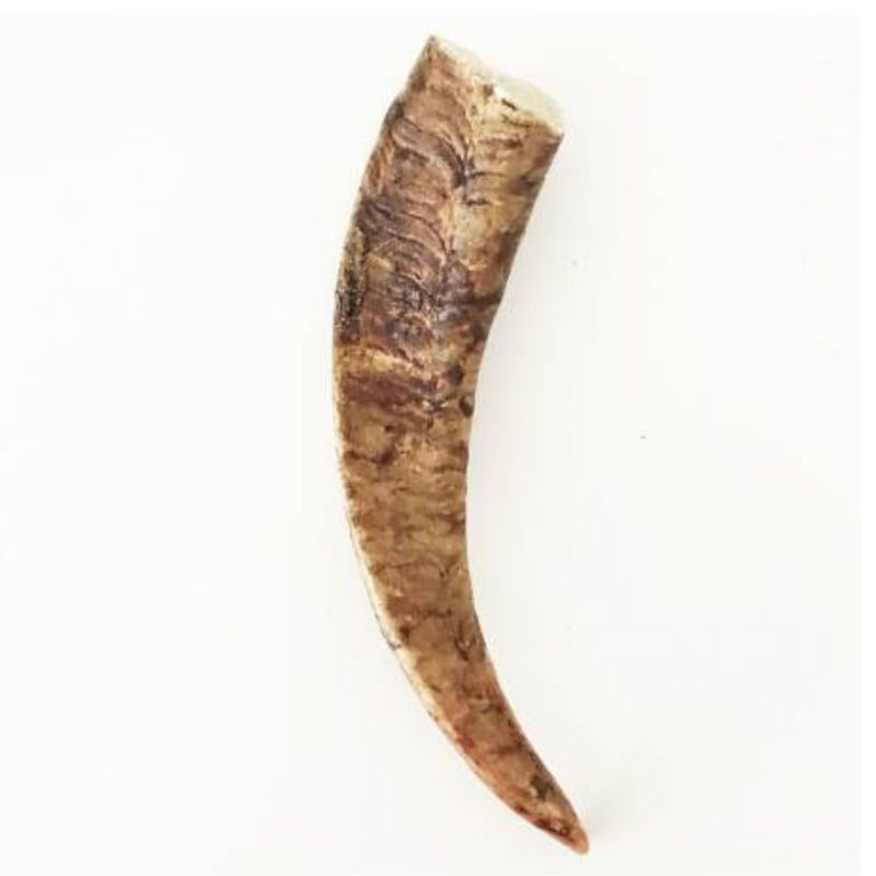 Натурално лакомство за кучета Naturcota- рог от дива коза XS